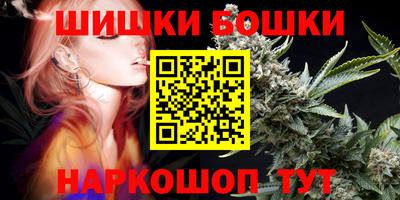a pvp Новодвинск