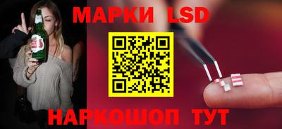 МДПВ Новозыбков