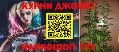 МДПВ Новозыбков