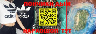 a pvp Новодвинск