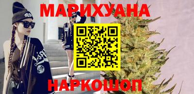 МДПВ Новозыбков