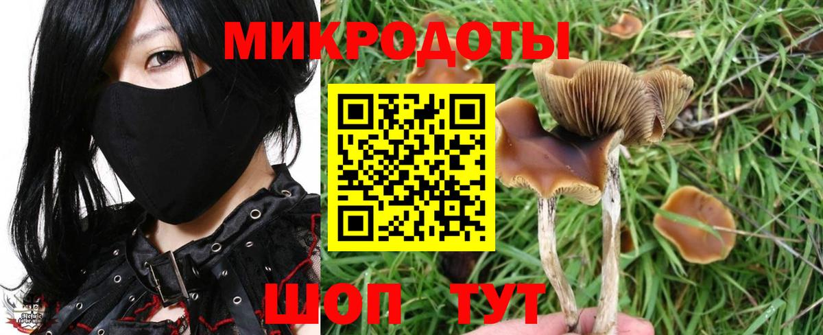 Галлюциногенные грибы Psilocybine cubensis Урай